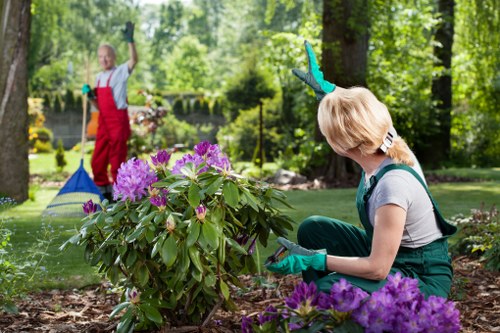 Advanced cleaning equipment used for driveways