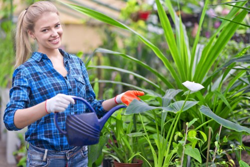 Effective cleaning techniques for driveways