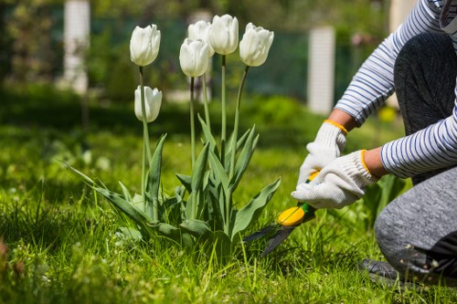 Professional driveway cleaning service in Blackfriars