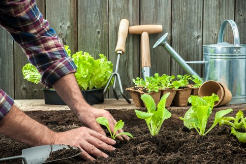 Eco-friendly cleaning tools and techniques for driveways