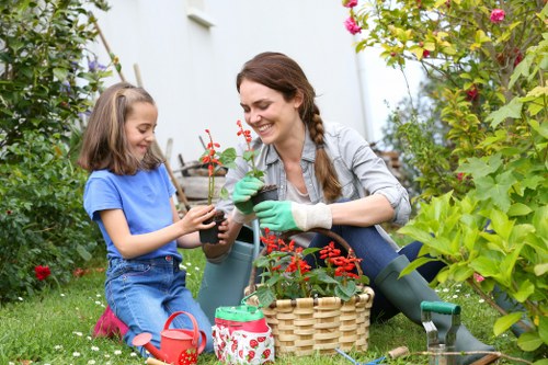 Professional driveway cleaning service in London