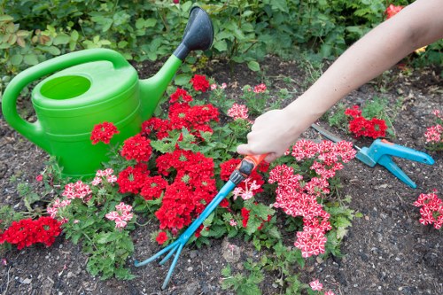 Professional pressure washing cleaning a residential driveway