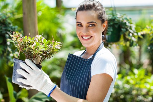 Eco-friendly cleaning techniques for driveways in a residential area