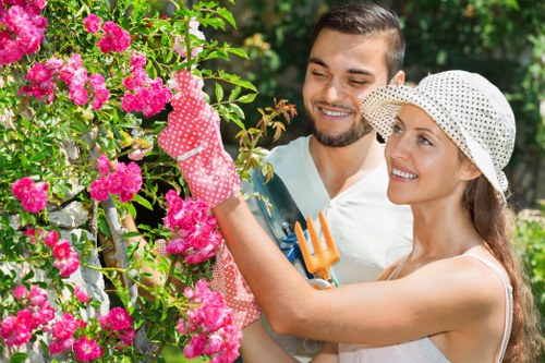 Professional stump grinding equipment and driveway cleaning in London.