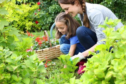 Professional gardening services showcasing vibrant flora