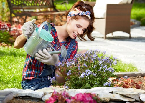 Eco-friendly cleaning process for a residential driveway