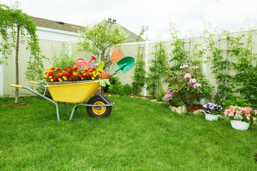 Professional driveway cleaning tools and techniques