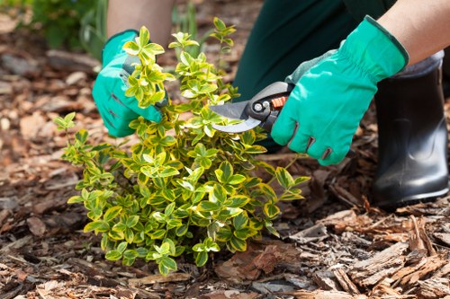 Professional gardener using sustainable cleaning methods