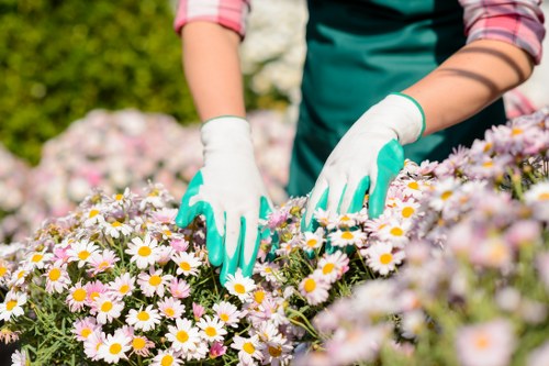 Professional equipment for driveway cleaning in Rainham