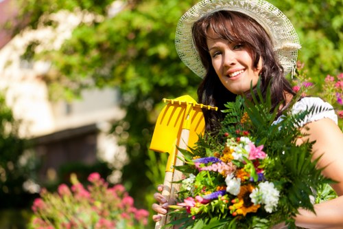 Eco-friendly cleaning supplies for a spotless driveway