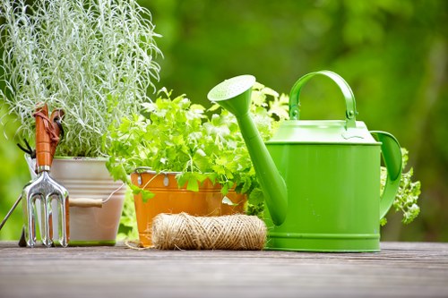 Eco-friendly driveway cleaning in action using advanced tools