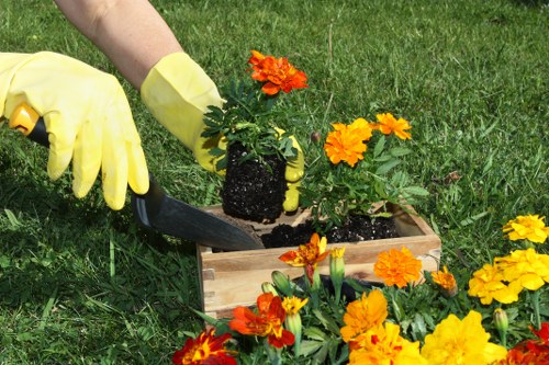 Environmental friendly tree cutting and cost-effective driveway cleaning