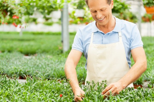 Eco-friendly driveway cleaning process in Dulwich