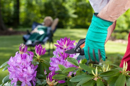 Expert gardeners surveying a drive cleaned area