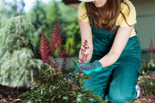 Professional team delivering driveway cleaning service