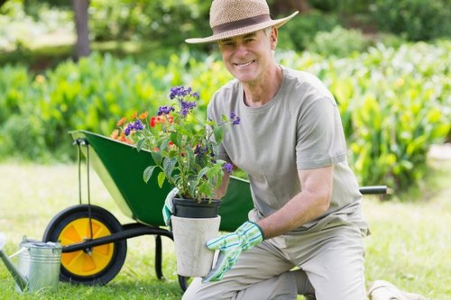 Eco-friendly cleaning process of a driveway