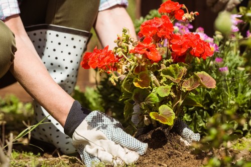 Local experts maintaining driveways in Norbiton area