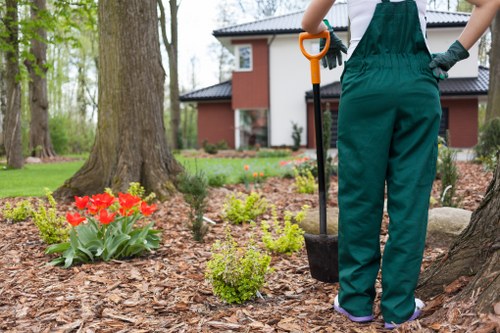 Eco-friendly cleaning solutions used on a driveway