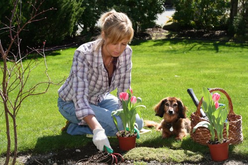 Seasonal driveway maintenance tips with clear sky in London