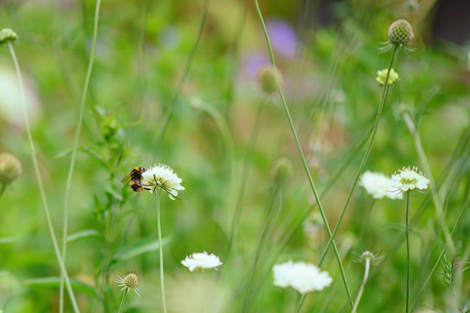 A close-up image of a bumblebee with a black and yellow body, captured mid-flight as it approaches a cluster of small, violet-purple flowers on a green leafy plant. The plant features textured, serrat